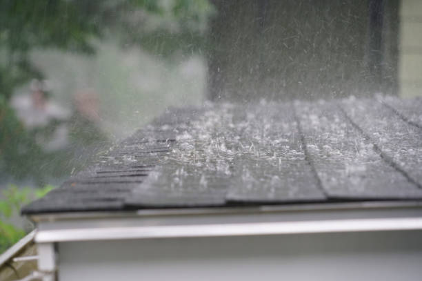 Best Storm Damage Roof Repair  in Riverview, SC