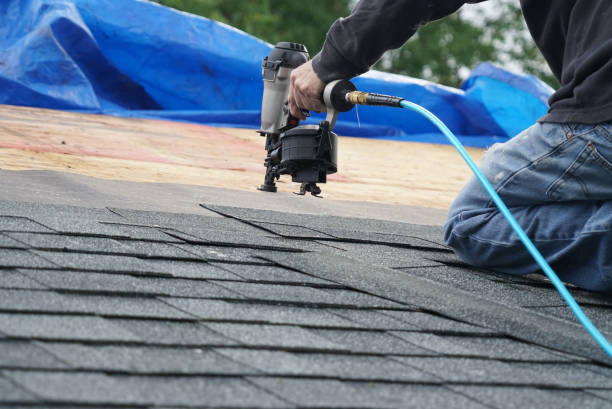 Best Roof Ventilation Installation  in Riverview, SC